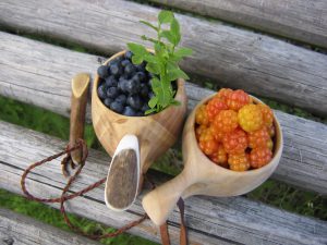 Blackberry (mustikka) and cloudberry (lakka): the basis of Finnish distilled drinks. Photograph by Simo Moisio, Arctic Flavours Association 