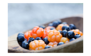 le bacche del benessere:mora palustre, mirtillo rosso o nero, ribes, ricchi inflavonoidi